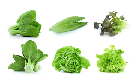 Green and red salad collection isolated on white backgroundの写真素材