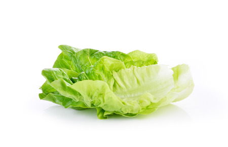 Romain Lettuce isolated on a white backgroundの写真素材
