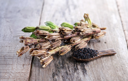 black sesameの写真素材