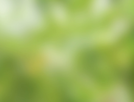 Abstract nature backgroundの写真素材
