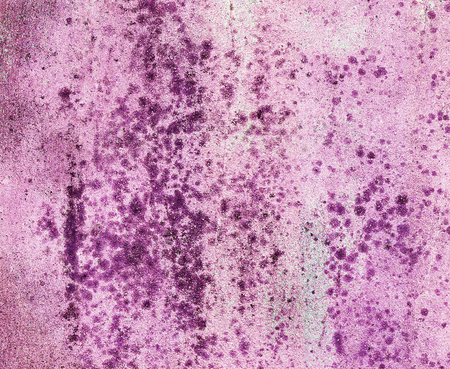 Gloomy vintage texture ideal for retro backgrounds. In Purple colorsの写真素材