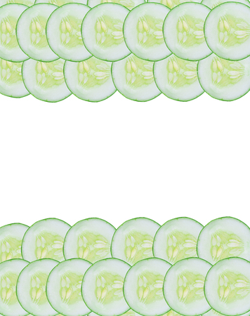 background white cucumberの写真素材