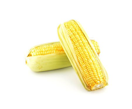 Corn isolated on a white backgroundの写真素材
