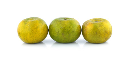 tangerines on white backgroundの写真素材