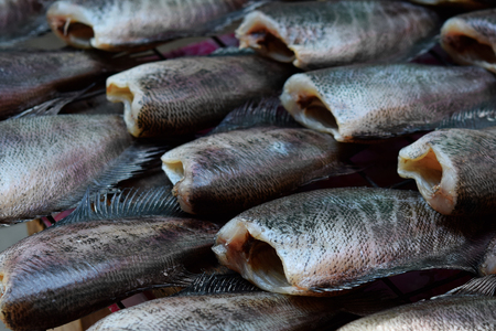 dried salted damsel fishの写真素材