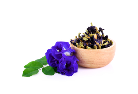 fresh and dried butterfly pea on white backgroundの写真素材