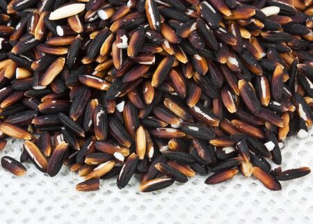 Rice black on white mesh fabric の写真素材