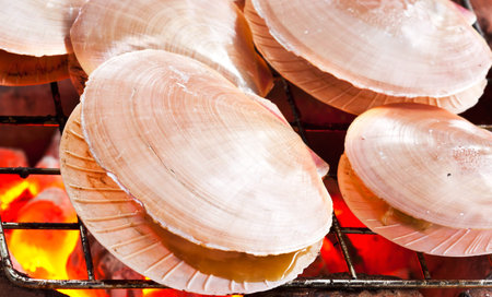 Grilled oysters 