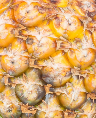 Colse up pineapple as textureの写真素材
