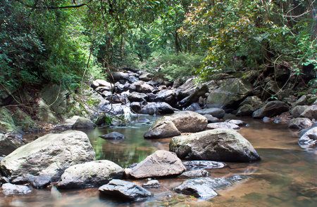 Waterfall Stream in the Mountains 