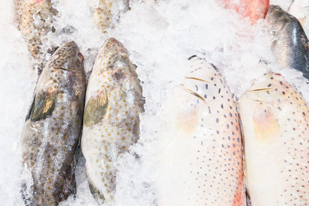 fresh fish on ice  inthe market