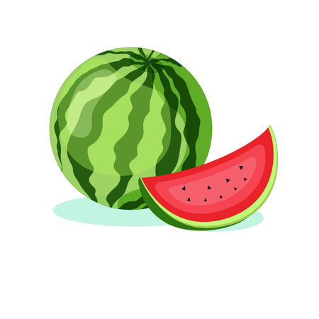 Watermelon isolated on white background. Vector illustration in flat style.のイラスト素材