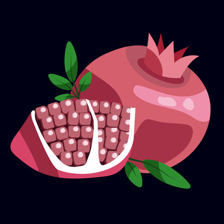 pomegranate fruit with leaves. Vector illustration in flat styleのイラスト素材