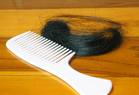 The hair loss from the scalp. After shampooing and blow drying.                               の写真素材