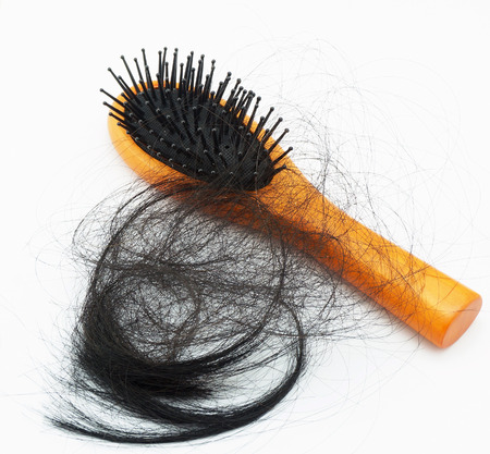 There are many hair fall out, attached to a hair brush.                              の写真素材