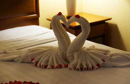 Two swans made from towels on honeymoon bed for surprise wedding day.の写真素材