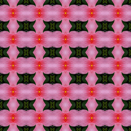Pink hibiscus flower in full bloom seamless use as pattern and wallpaper.