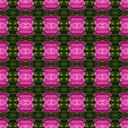 Portulaca flower, small flower planted in the garden, have pink color seamless use as pattern and wallpaper.の写真素材