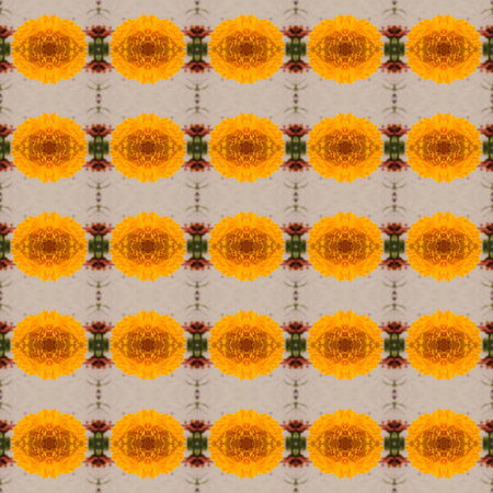 Calendula yellow flowers arranged in herringbone seamless use as pattern and wallpaper.の写真素材