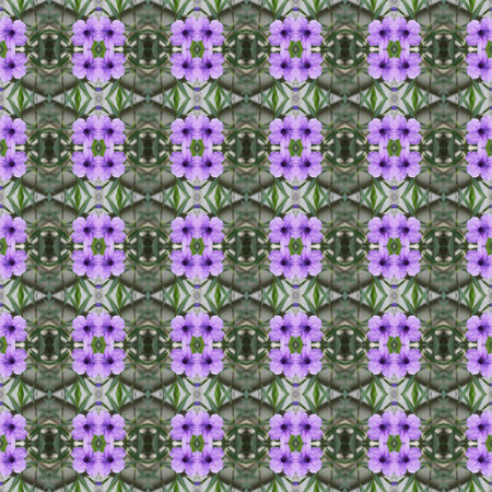 Ruellia tuberosa Linn, bright purple in full bloom seamless use as pattern and wallpaper.の写真素材