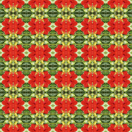 Full bloom of red hibiscus flower seamless use as pattern and wallpaper.の写真素材