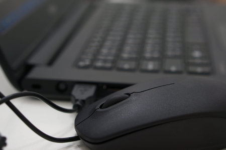 Computer mouse and keyboard are black color on desk at office.