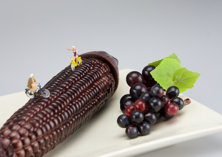 Two miniature people are cycling and greeting on black corn.の写真素材
