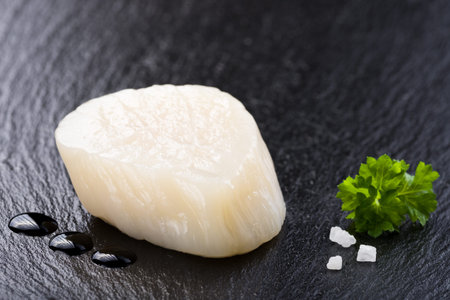 Scallop on black stone plateの写真素材