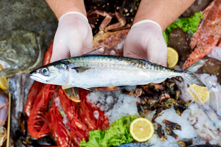 Seller presenting a mackerel fish in fish storeの写真素材
