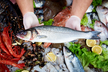 Seller presenting a fresh sea bass fish in fish storeの写真素材