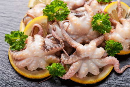 Raw octopus baby on slate plateの写真素材