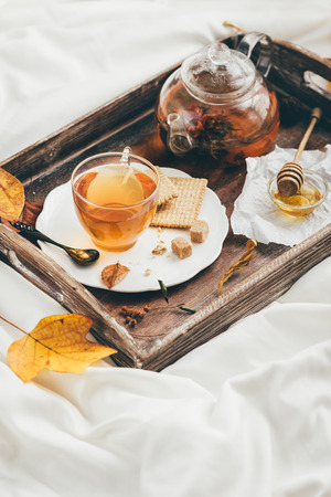 Warming tea in bed. Window lightの写真素材