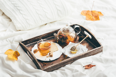 Warming tea in bed. Window lightの写真素材