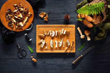Mushroom Boletus prepared for drying. top viewの写真素材