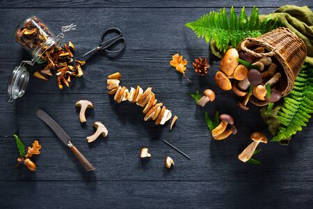 Mushroom Boletus prepared for drying. top viewの写真素材