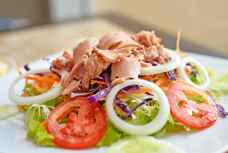 Tuna and vegetable saladの写真素材