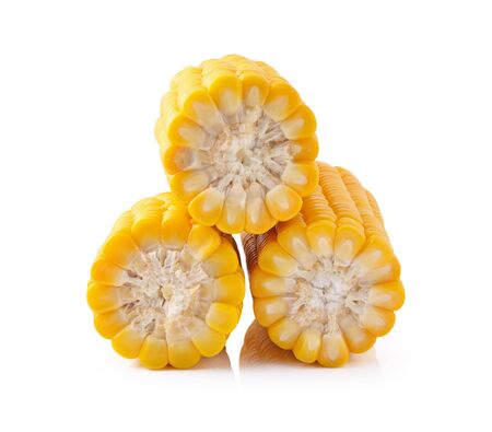 corn on a white backgroundの写真素材