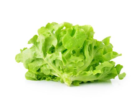 Green leaves lettuce isolated on white backgroundの写真素材
