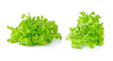 fresh green lettuce leaves isolated on whiteの写真素材