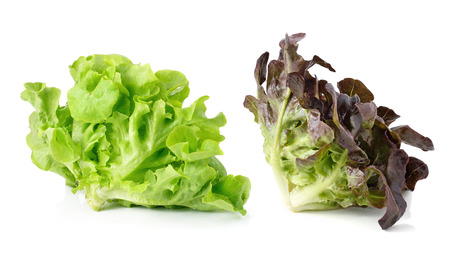 green and red lettuce isolated on white backgroundの写真素材