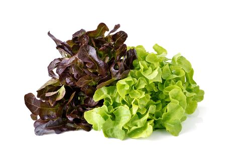 green and red lettuce isolated on white backgroundの写真素材