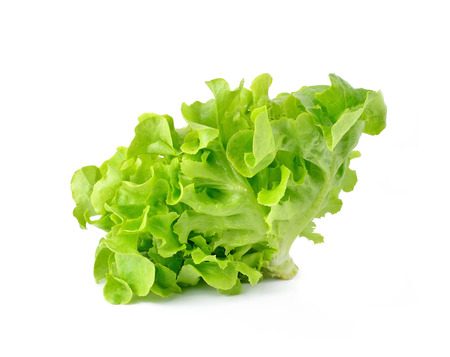 fresh green lettuce leaves isolated on whiteの写真素材