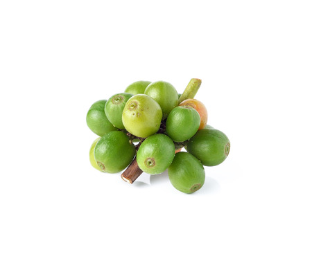 coffee beans isolated on white backgroundの写真素材