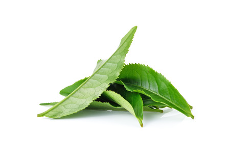 Green tea leaf isolated on white backgroundの写真素材