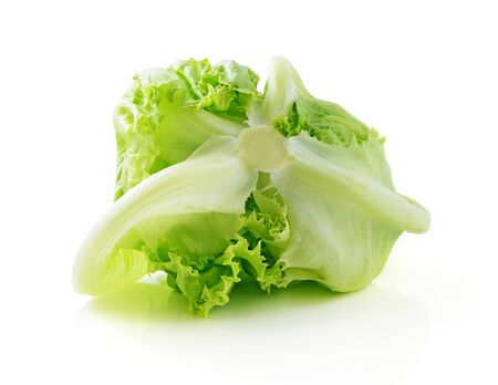 Green Iceberg lettuce on White Backgroundの写真素材