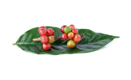 red coffee beans isolated on white backgroundの写真素材