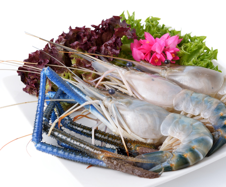 Raw Prawns isolated on whiteの写真素材