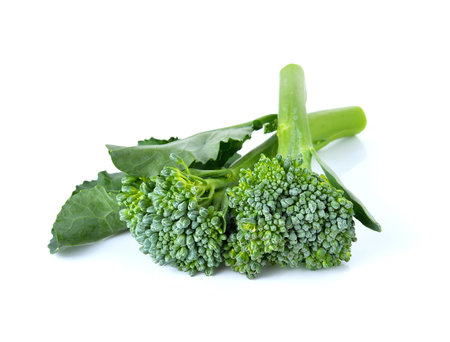 Broccoli isolated on white backgroundの写真素材
