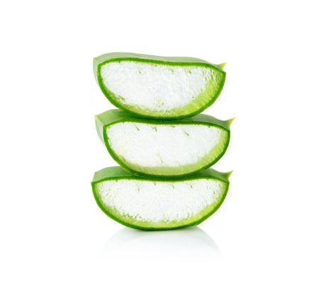 aloe vera fresh leafs isolated white backgroundの写真素材