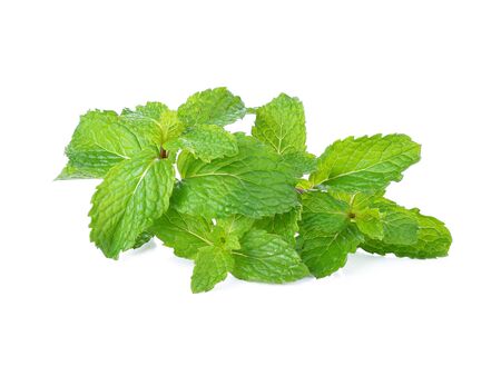 mint leaves isolated on white backgroundの写真素材